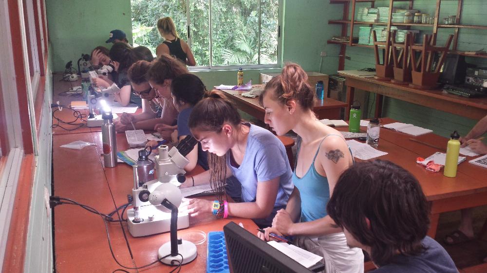 students at microscopes